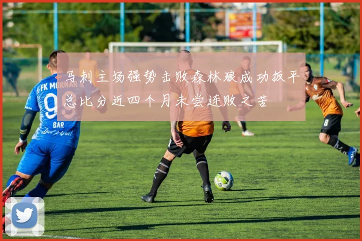马刺主场强势击败森林狼成功扳平总比分近四个月未尝连败之苦